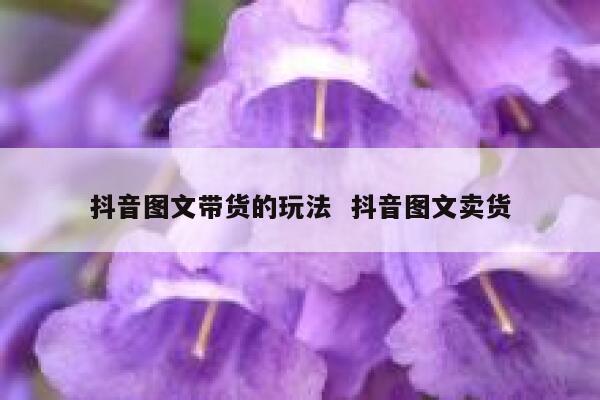 抖音图文带货的玩法  抖音图文卖货 第1张