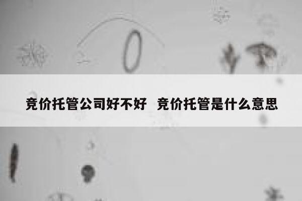 竞价托管公司好不好 竞价托管是什么意思