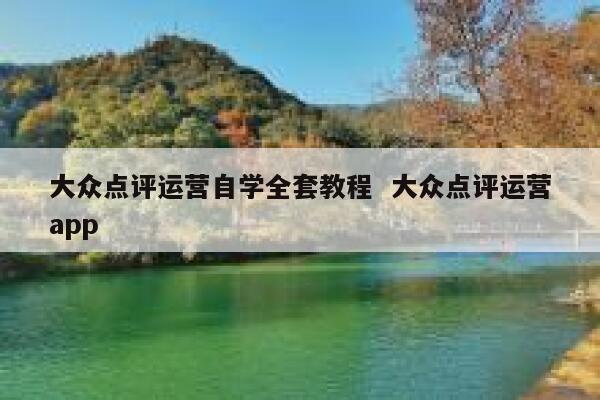 大众点评运营自学全套教程  大众点评运营app