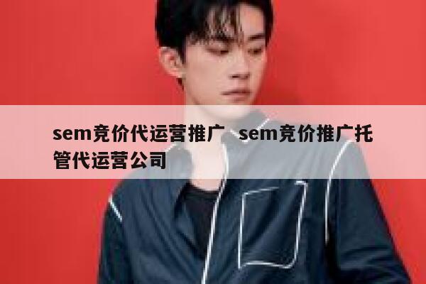 sem竞价代运营推广  sem竞价推广托管代运营公司