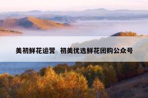 美初鲜花运营 初美优选鲜花团购公众号