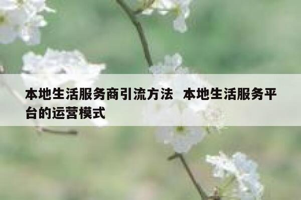 本地生活服务商引流方法 本地生活服务平台的运营模式