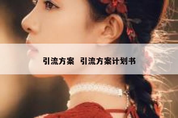 引流方案  引流方案计划书