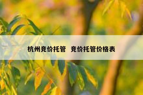 杭州竞价托管  竞价托管价格表