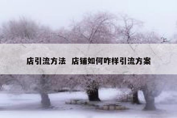 店引流方法  店铺如何咋样引流方案