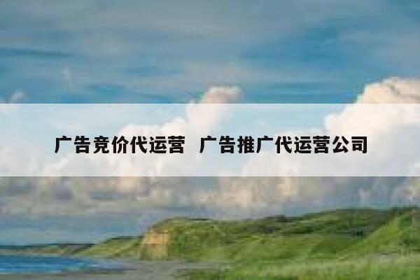 广告竞价代运营  广告推广代运营公司