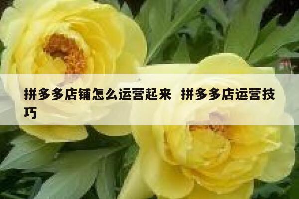 拼多多店铺怎么运营起来  拼多多店运营技巧