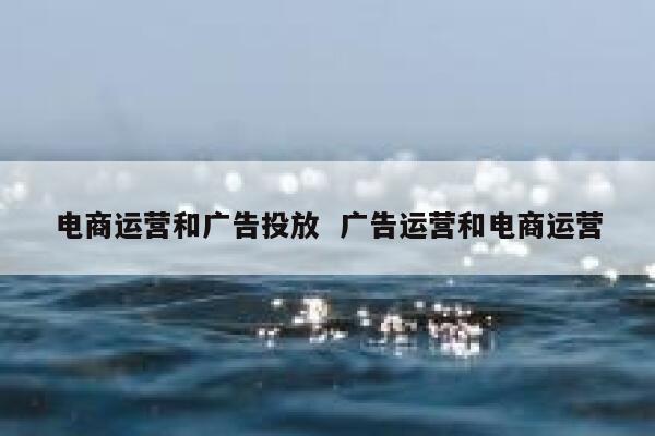 电商运营和广告投放  广告运营和电商运营