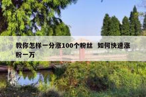 教你怎样一分涨100个粉丝  如何快速涨粉一万 第1张