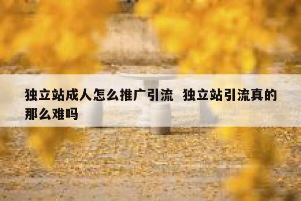 独立站成人怎么推广引流  独立站引流真的那么难吗