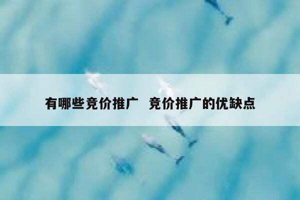 有哪些竞价推广  竞价推广的优缺点 第1张