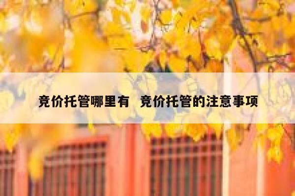 竞价托管哪里有 竞价托管的注意事项