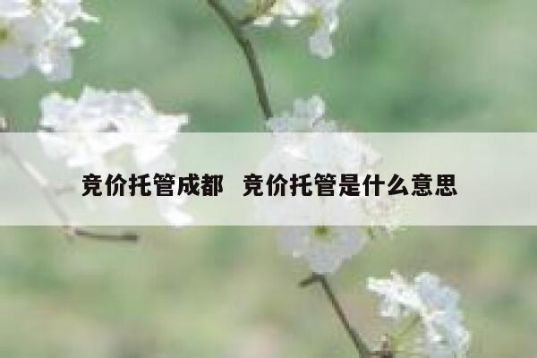 竞价托管成都  竞价托管是什么意思