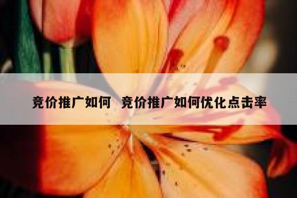 竞价推广如何  竞价推广如何优化点击率 第1张