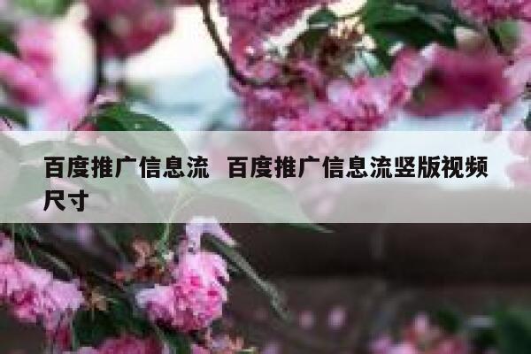 百度推广信息流 百度推广信息流竖版视频尺寸