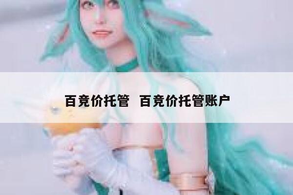百竞价托管  百竞价托管账户 第1张