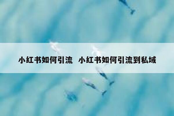 小红书如何引流 小红书如何引流到私域