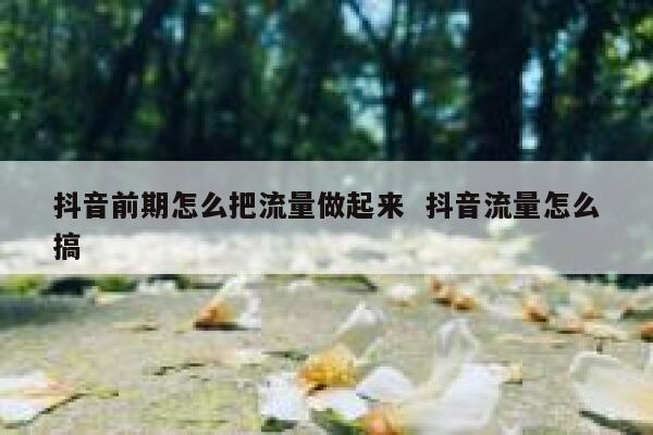 抖音前期怎么把流量做起来 抖音流量怎么搞