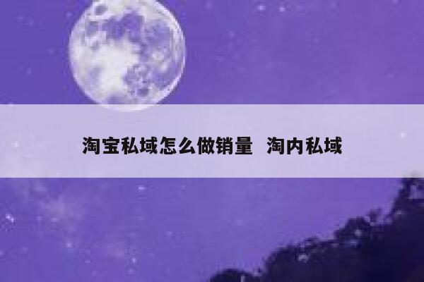 淘宝私域怎么做销量  淘内私域