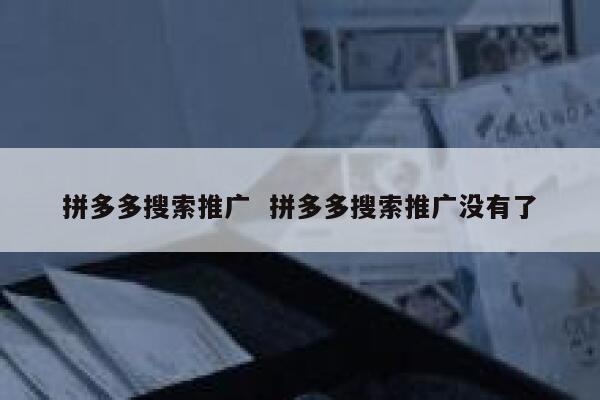 拼多多搜索推广  拼多多搜索推广没有了 第1张