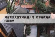 河北百度竞价营销托管公司  云浮百度竞价托管团队
