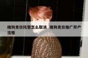 搜狗竞价托管怎么取消  搜狗竞价推广开户流程
