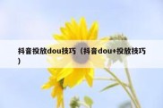 抖音投放dou技巧（抖音dou+投放技巧）