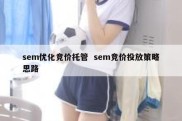 sem优化竞价托管  sem竞价投放策略思路