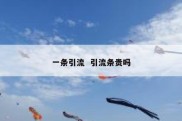 一条引流  引流条贵吗