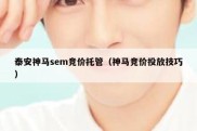泰安神马sem竞价托管（神马竞价投放技巧）
