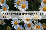 广告主投放广告公司（广告主投放广告公司合法吗）