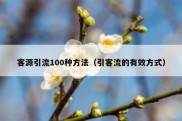 客源引流100种方法（引客流的有效方式）
