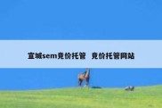 宣城sem竞价托管  竞价托管网站