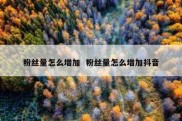 粉丝量怎么增加  粉丝量怎么增加抖音