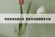 专业竞价托管方法  做竞价托管需要多少钱