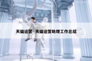 天猫运营  天猫运营助理工作总结