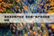 泰安竞价账户托管  竞价推广账户竞价托管好吗