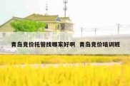 青岛竞价托管找哪家好啊  青岛竞价培训班