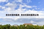 竞价托管的服务  竞价托管的服务公司