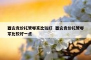 西安竞价托管哪家比较好  西安竞价托管哪家比较好一点