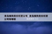 青岛搜狗竞价托管公司  青岛搜狗竞价托管公司有哪些