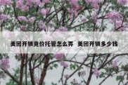 美团开锁竞价托管怎么弄  美团开锁多少钱