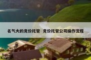 名气大的竞价托管  竞价托管公司操作流程