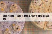 公司代运营（山东元驰信息技术有限公司代运营）