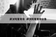 武汉托管竞价  武汉托管竞价公告