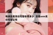 株洲百度竞价托管收费多少  百度sem竞价托管公司
