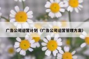广告公司运营计划（广告公司运营管理方案）