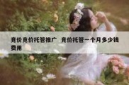 竞价竞价托管推广  竞价托管一个月多少钱费用