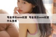 专业竞价sem托管  专业竞价sem托管什么意思
