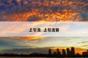 上引流  上引流管